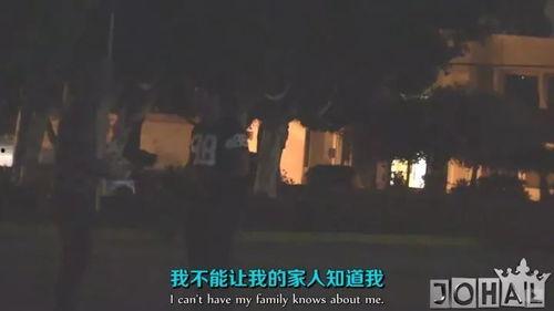 人性视频在线观看,深度解析人性视频在线观看之旅